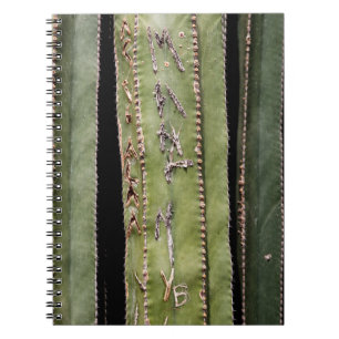 Caderno Espiral Cacto