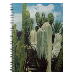 Caderno Espiral Cacto da arizona