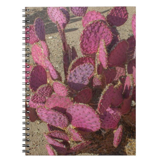Caderno Espiral Cacto de Pera Espinhosa (Frente)