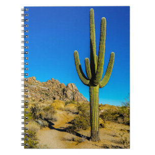 Caderno Espiral Cacto ereto
