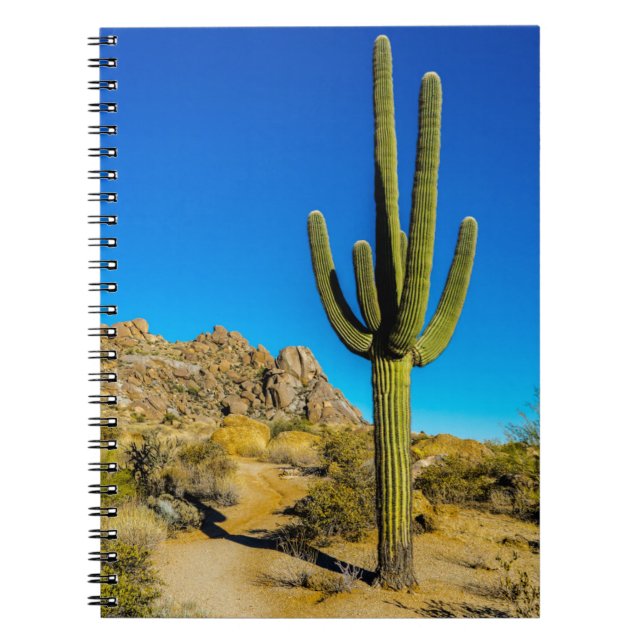 Caderno Espiral Cacto ereto (Frente)