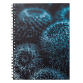 Caderno Espiral Cacto Escuro