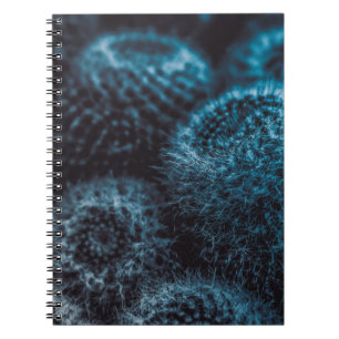 Caderno Espiral Cacto Escuro
