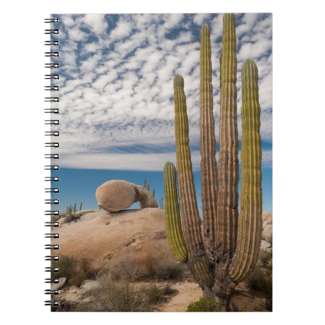 Caderno Espiral Cacto No Cenário Do Deserto (Frente)