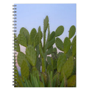 Caderno Espiral Cactos e sisal na Floresta Seca