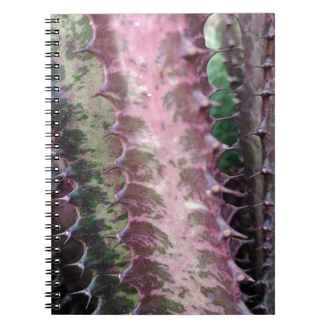 Caderno Espiral Cactus (Frente)