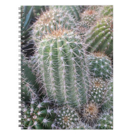 Caderno Espiral Cactus