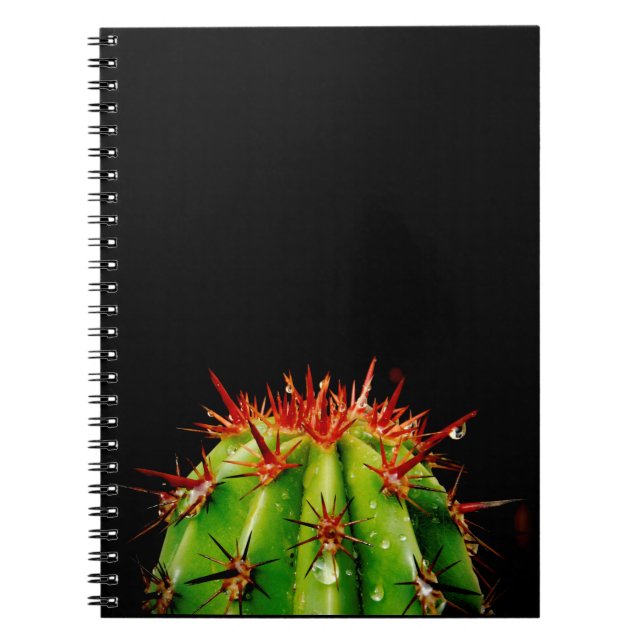 Caderno Espiral Cactus (Frente)