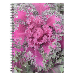 Caderno Espiral Cactus