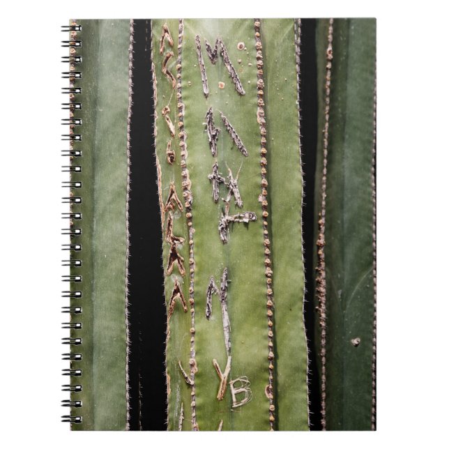 Caderno Espiral Cactus (Frente)