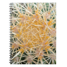 Caderno Espiral Cactus