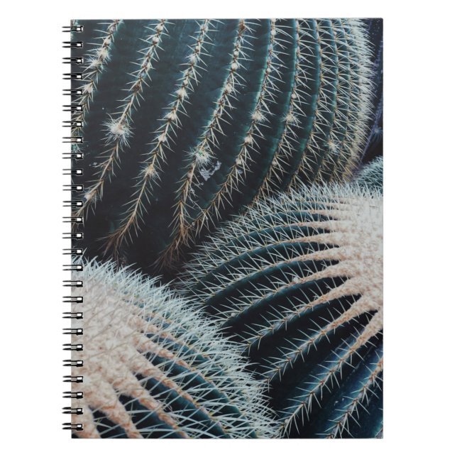 Caderno Espiral Cactus (Frente)