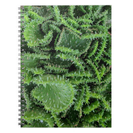 Caderno Espiral Cactus