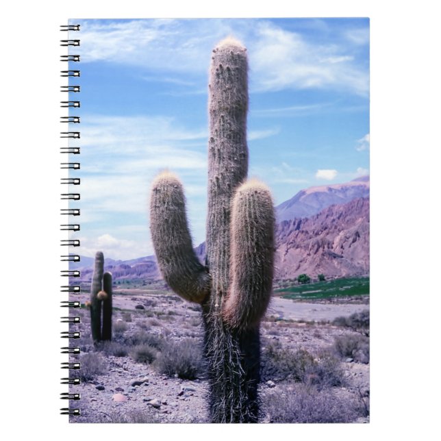 Caderno Espiral Cactus na província de Jujuy - Argentina Norte (Frente)