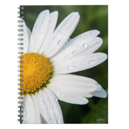 Caderno Espiral caderneta foto margarida