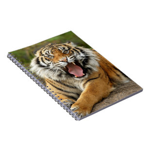 Caderno Espiral Caderno-Tigre