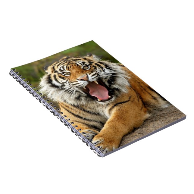 Caderno Espiral Caderno-Tigre (Lado Direito)