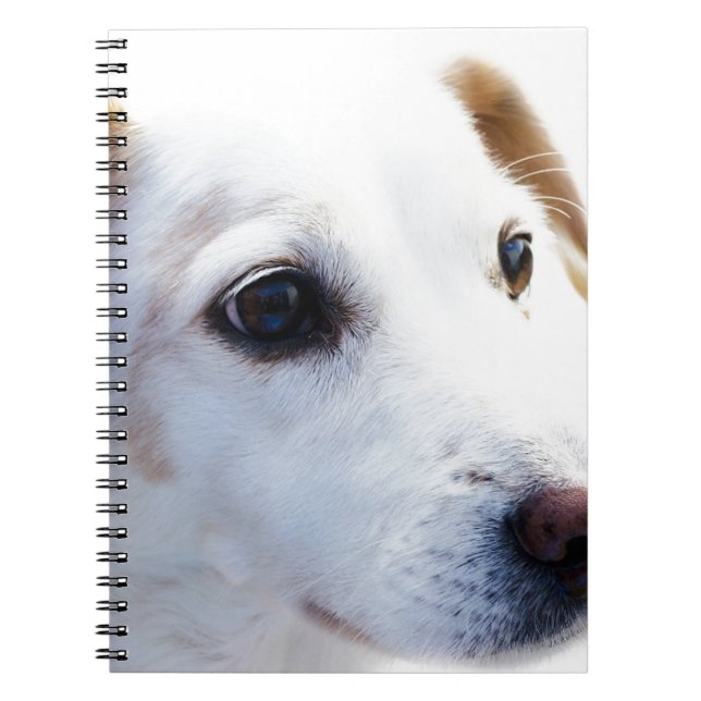 Caderno Espiral Cães Brancos com Olhos Fiéis, Animais de Companhia (Frente)