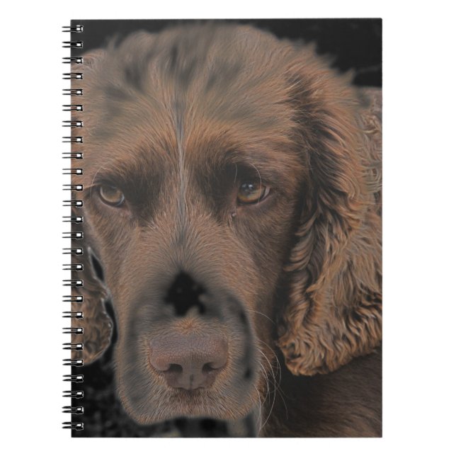Caderno Espiral Cães de Springer Inglês (Frente)