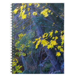 Caderno Espiral Cair nas montanhas 6