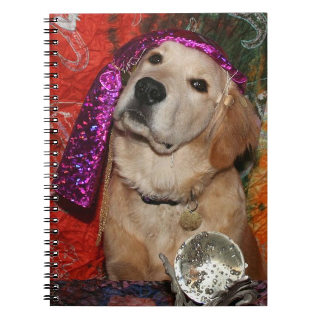 Caderno Espiral Caixa de fortuna dourado (Frente)