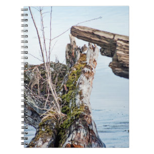 Caderno Espiral Caixa de Visualização