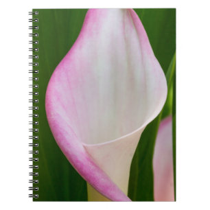 Caderno Espiral Calha Pano