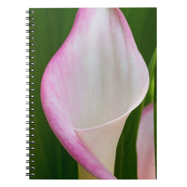 Caderno Espiral Calha Pano (Frente)