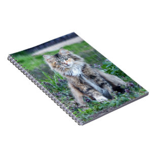 Caderno Espiral Calico Cat