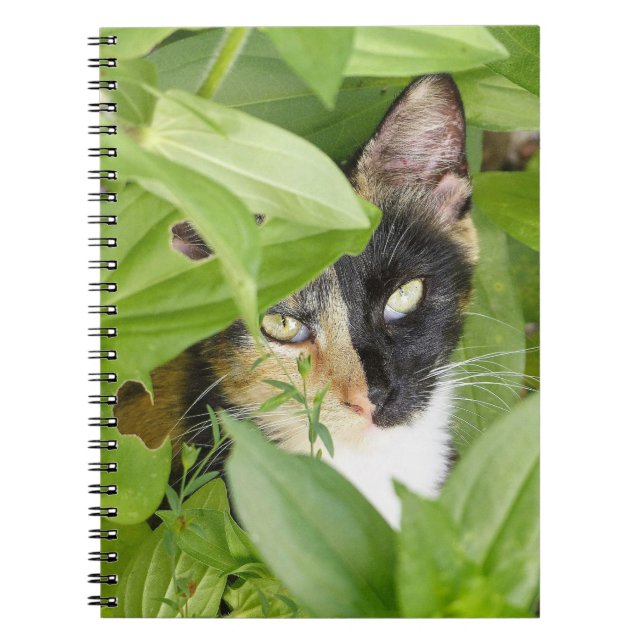 Caderno Espiral Calico Cat nos Zinnias (Frente)