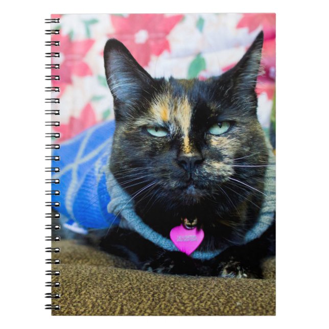 Caderno Espiral Calico I (Frente)