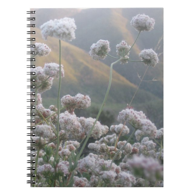 Caderno Espiral California Bucktrigo (Frente)