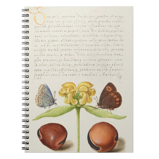 Caderno Espiral Caligrafia, Jerusalém e feijão (Frente)