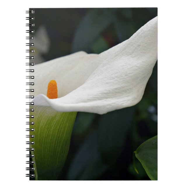 Caderno Espiral Calla Lily.JPG (Frente)