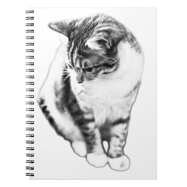 Caderno Espiral Calm Cat Buscando Notebook Retrato (Frente)