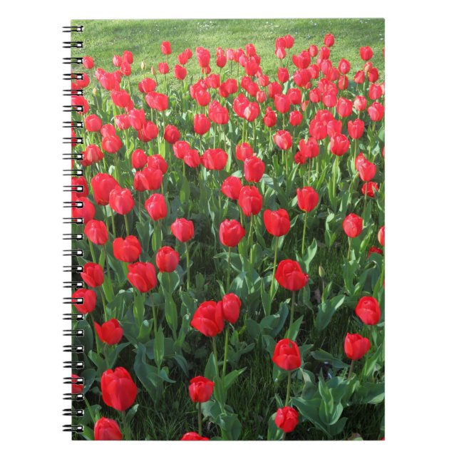 Caderno Espiral Cama de Tulipas Vermelhas 01 (Frente)