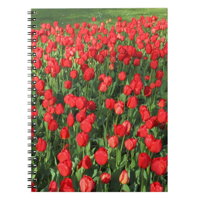 Caderno Espiral Cama de Tulipas Vermelhas 02 (Frente)