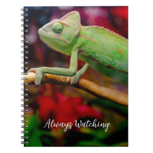 Caderno Espiral Camaleão verde no galho