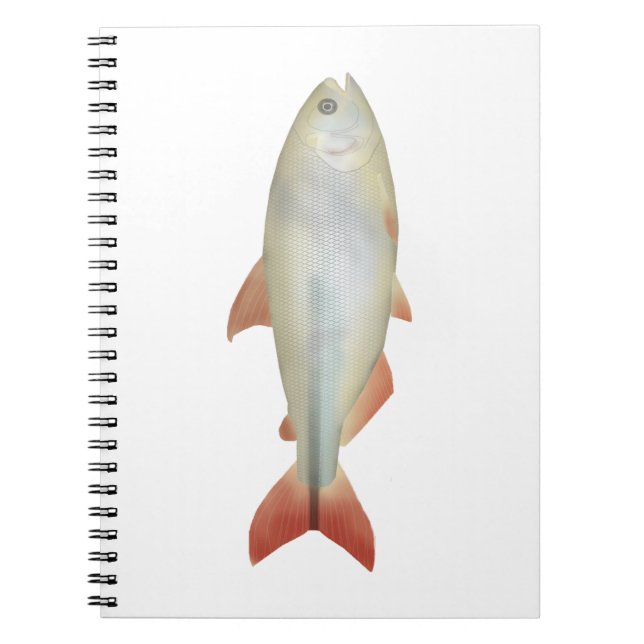 Caderno Espiral Camapuã (Frente)
