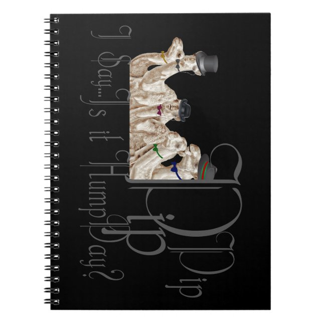 Caderno Espiral Camelos Engraçados do Dia da Hump em Monocles (Frente)