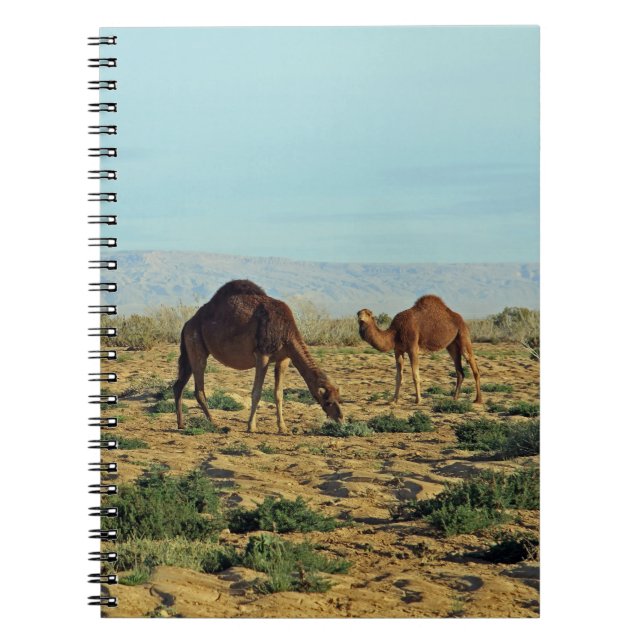 Caderno Espiral Camels, Tunísia (Frente)