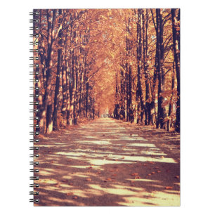 Caderno Espiral Caminho da Floresta do outono: Viagem de Paisagem