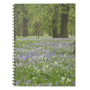 Caderno Espiral Campainhas azuis e Carvalhos na Primavera, Little