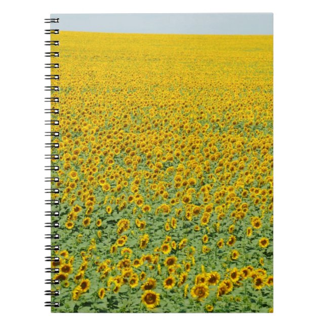Caderno Espiral Campo amarelo do girassol (Frente)