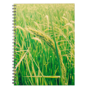 Caderno Espiral Campo de arroz nas zonas rurais e frescas, no esti