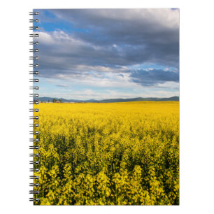 Caderno Espiral Campo De Canola No Tarde Da Noite
