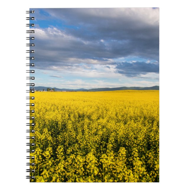 Caderno Espiral Campo De Canola No Tarde Da Noite (Frente)