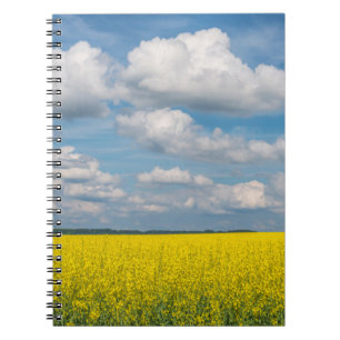 Caderno Espiral Campo de Canola & Nuvens