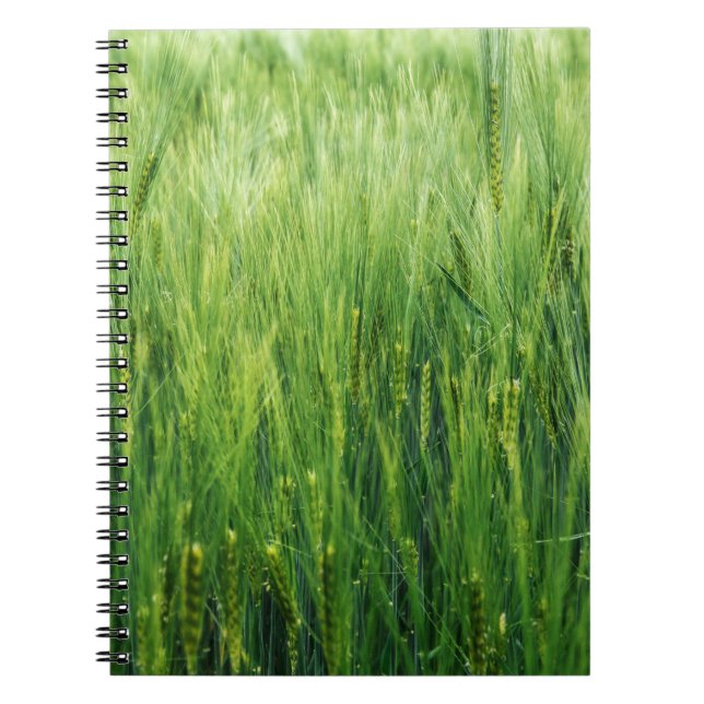 Caderno Espiral Campo de cevada verde, primavera. (Frente)