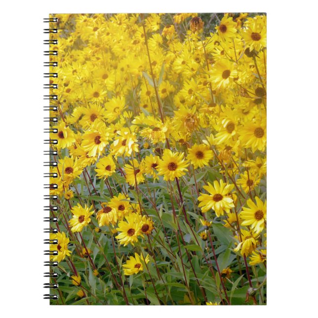 Caderno Espiral Campo De Flores Amarelas Vibrantes (Frente)